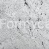 MicrosoftTeams-image (1).png