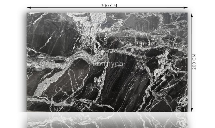 Black Forest + wiz.jpg