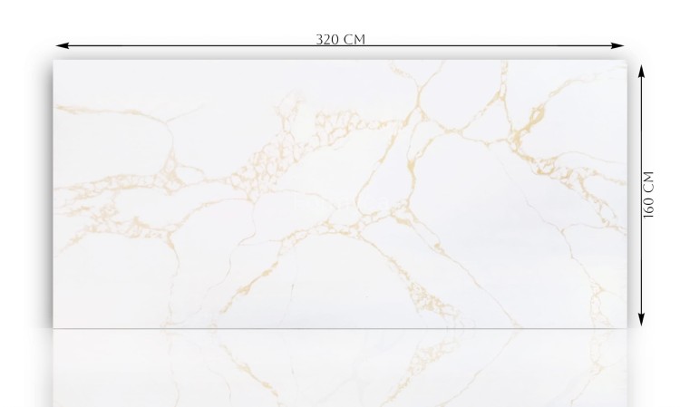 Calacatta Gold slab 2.jpg